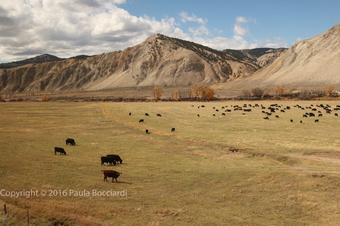 rockies_garfield-county-co-5