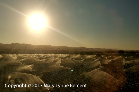 068a_Coast Starlight train trip, September 2017_scenery 30a