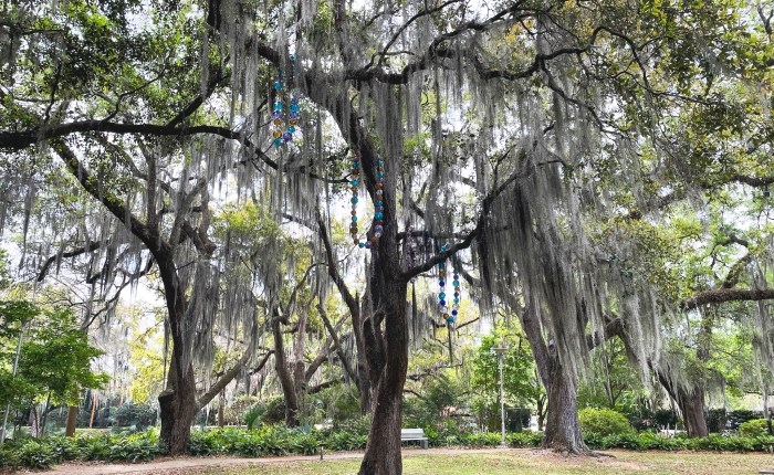 Gators and other&nbsp;strangers